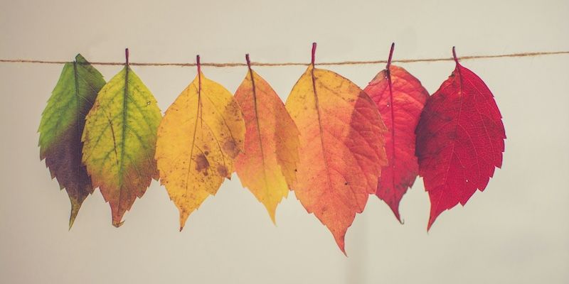 Change Management
