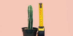 Measure assertiveness