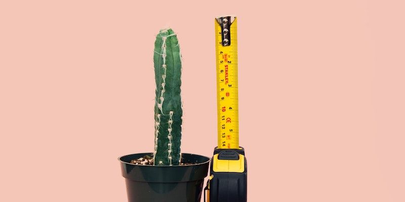Measure assertiveness